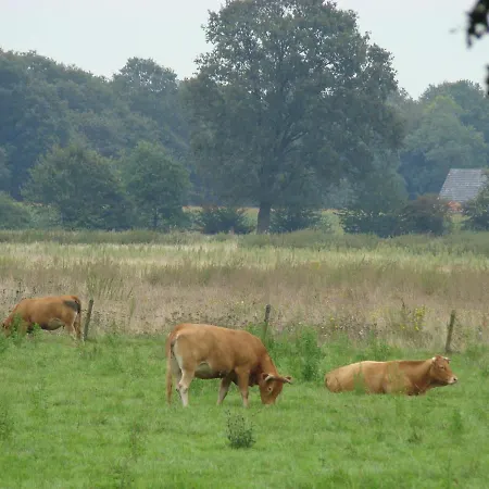 Bed and breakfast Onder Ons Riet Cromvoirt
