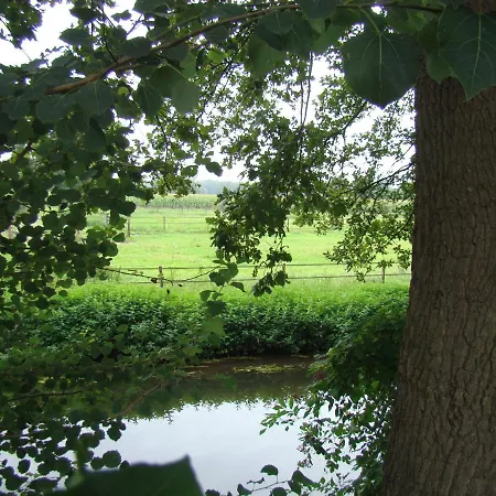 Bed & Breakfast Onder Ons Riet *