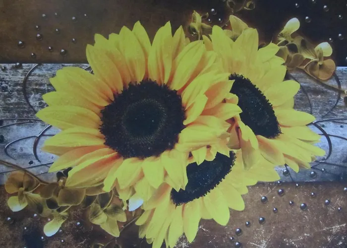 לינה וארוחת בוקר Onder Ons Riet *