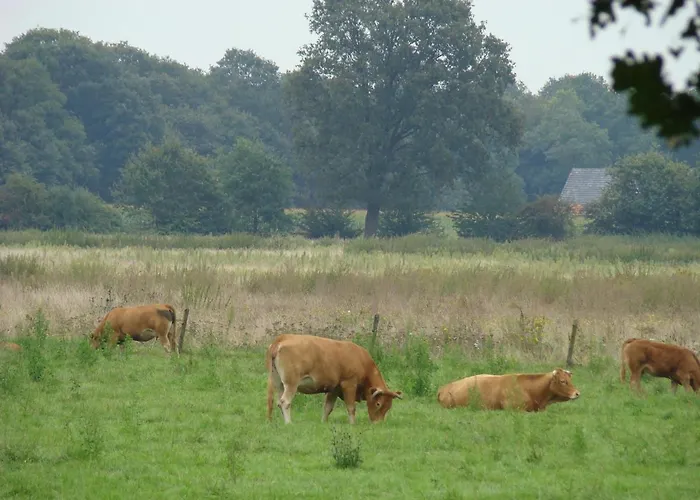 Couette-café Onder Ons Riet Cromvoirt